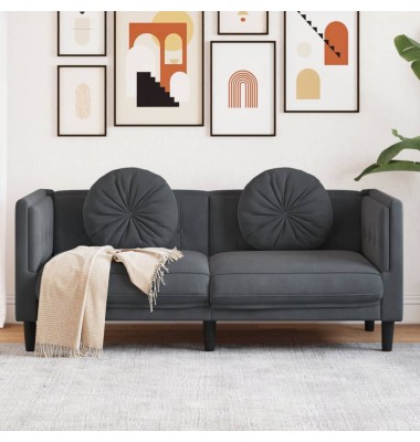  Dvivietė sofa su pagalvėlėmis, tamsiai pilkos spalvos, aksomas - Sofos, sofos-lovos - 1