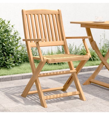  Sulankstomos sodo kėdės, 2vnt., 58x54,5x90cm, akacijos masyvas - Lauko kėdės - 1