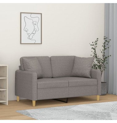  Dvivietė sofa su pagalvėlėmis, šviesiai pilka, 120cm, audinys - Sofos, sofos-lovos - 1